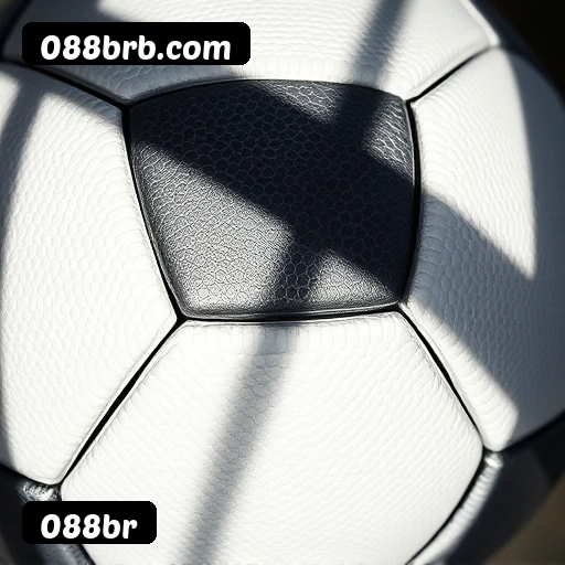 Níveis do programa VIP da 088br